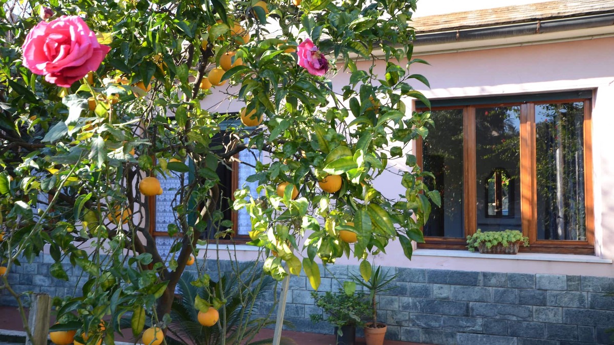 Sant'Ilario House | House in the green, 100 meters from the sea