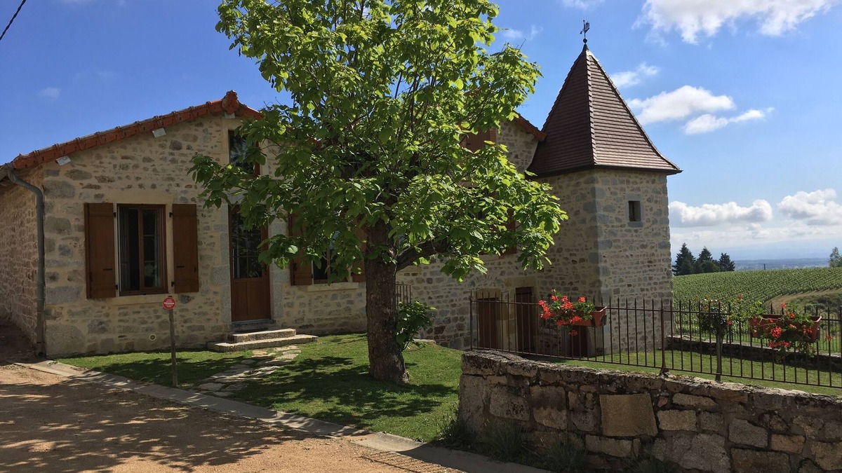 Renaison House | House in the heart of vineyards on a vineyard, Le Domaine de la Paroisse