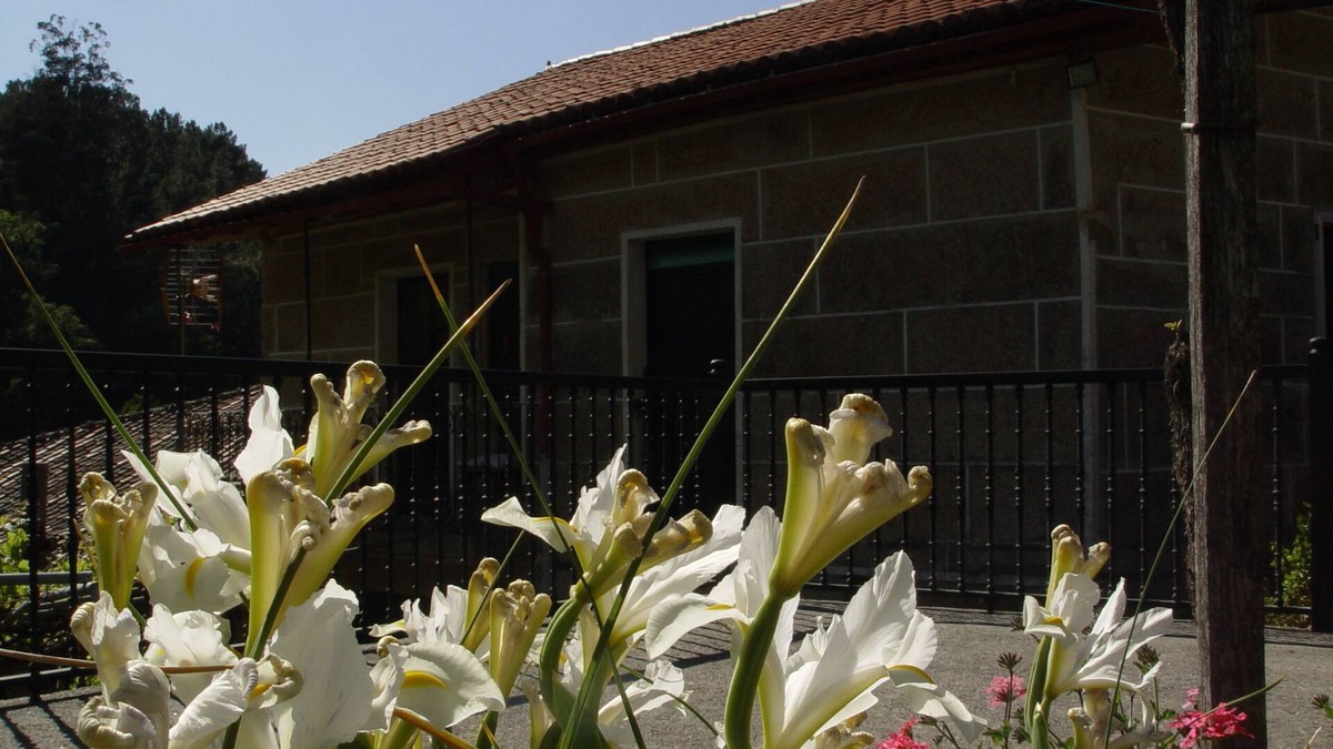Nogueira de Ramuin Cottage | House in Viñoas - Ribeira Sacra (Ourense)