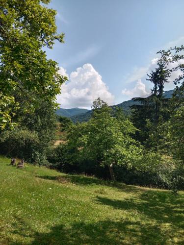 Nyzhnje Selyshche Apartment | House Menchul