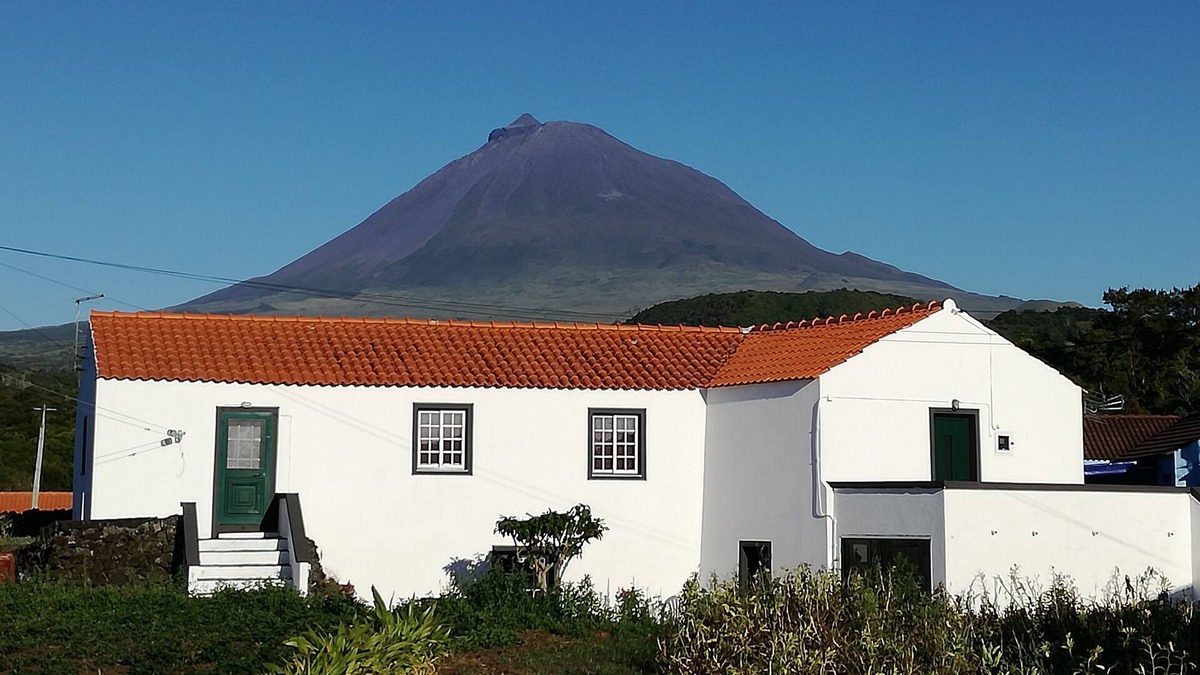 Madalena House | House of Biscuits. .