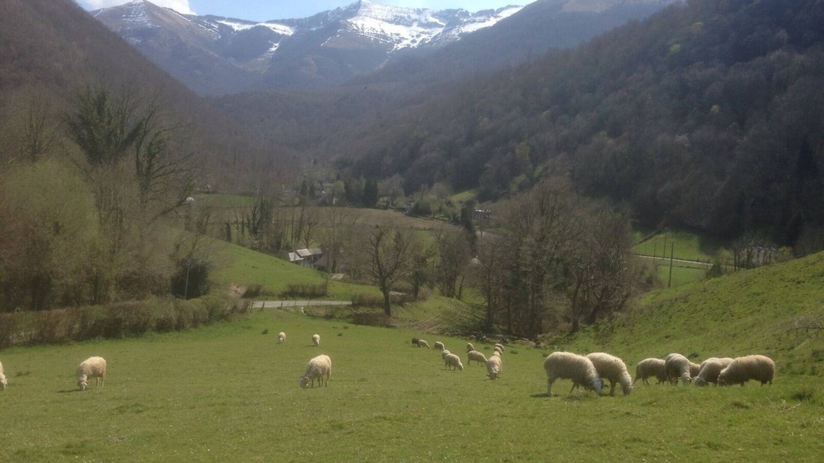 Louvie Juzon House | HOUSE OF CHARACTER ENTIRELY RESTORED ANY COMFORT (wifi) IN THE BEARN