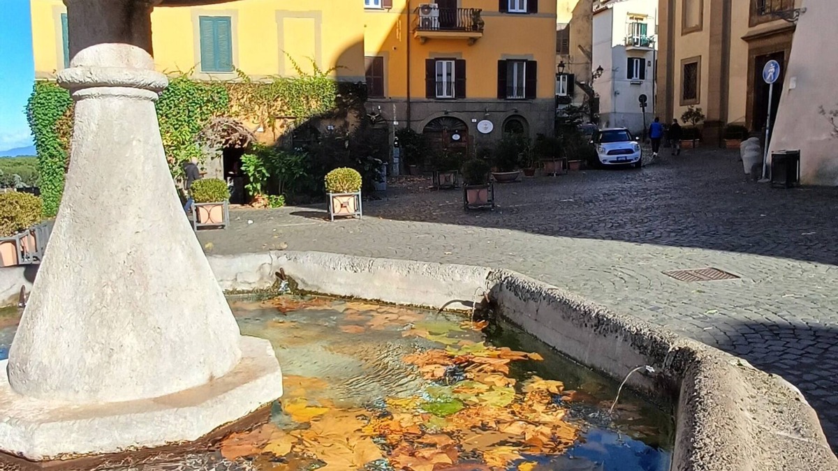 Frascati Apartment | House of Giuseppe and Tiziana - Frascati historical center 30 min by train from Rome