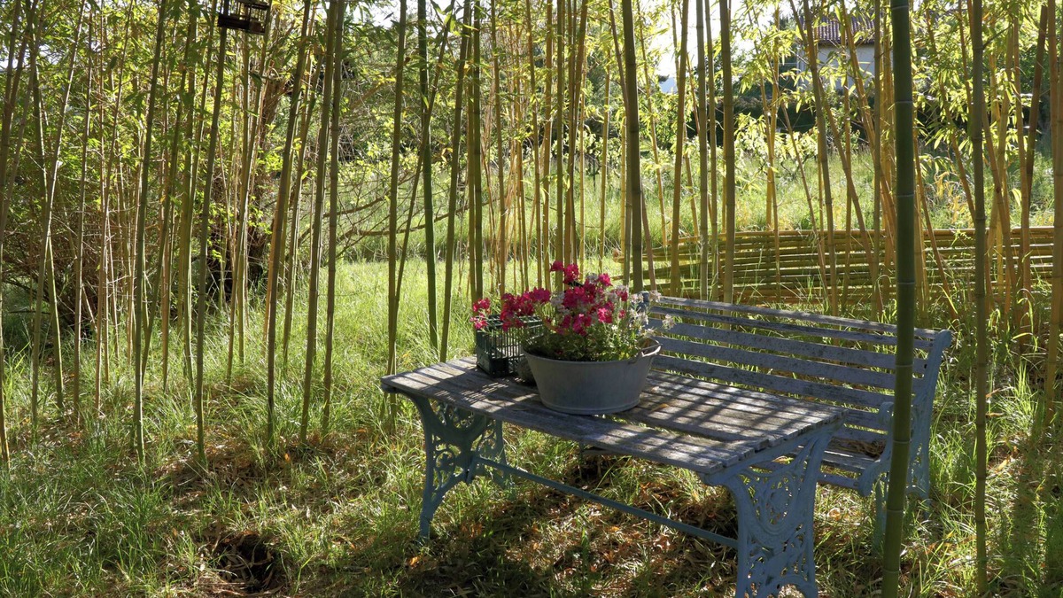 Dieulefit House | House on a 2000 m2 plot in a quiet natural setting 5 minutes from the village.