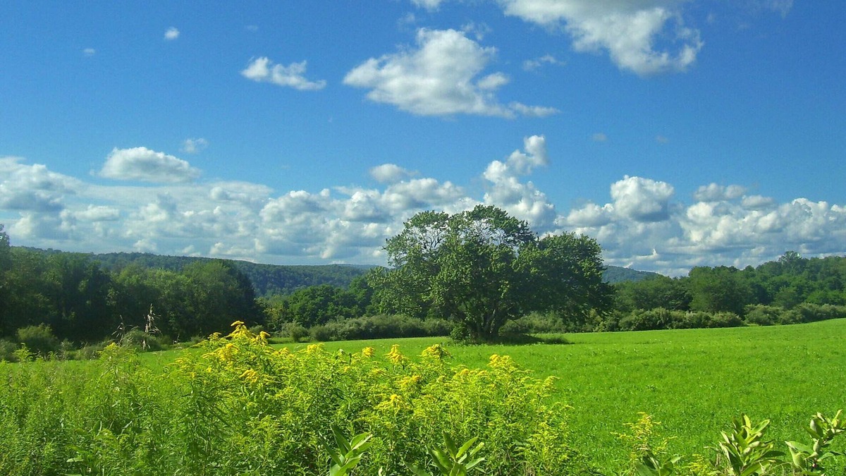 Pawling House | House on Appalachian Trail, walking distance from NYC trains. 3bd/1ba, 3 acres