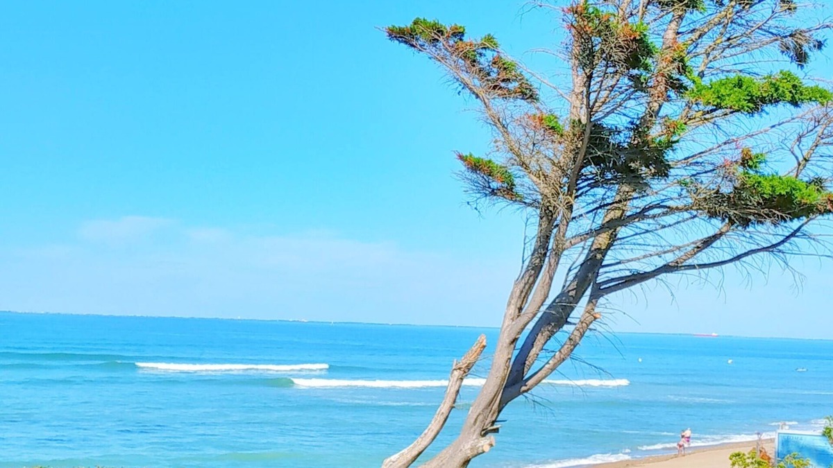 Cheray House | House on the island of Oléron Cheray / St Georges d 'Oléron 3km near the beaches