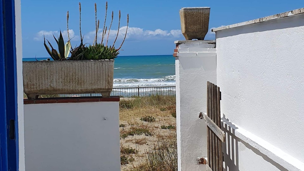 Ardea House | House on the beach