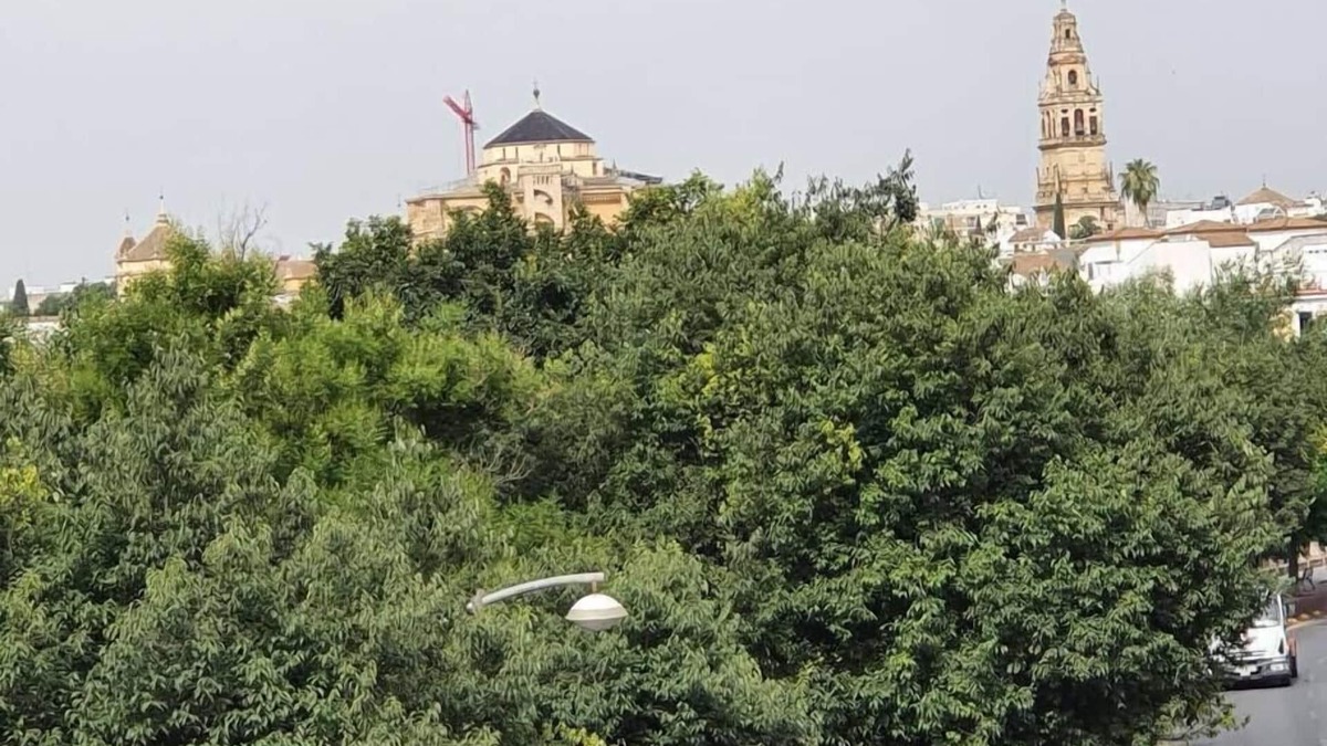 San Pedro House | House on the banks of the river, next to the Mosque.