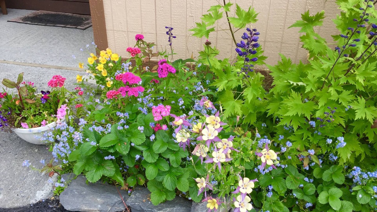 Valdez Bed & Breakfast | House on the Rock B & B