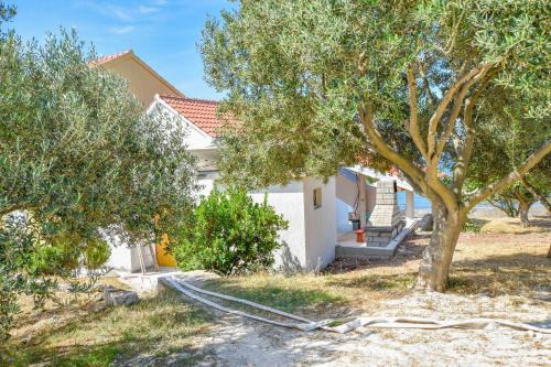 Dobropoljana House | House Pine Shadow