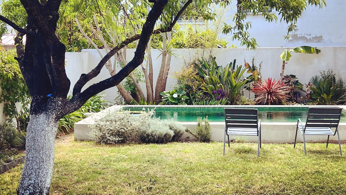 Beaux Arts-Boutonnet House | House pool and garden, calm 2 steps from downtown