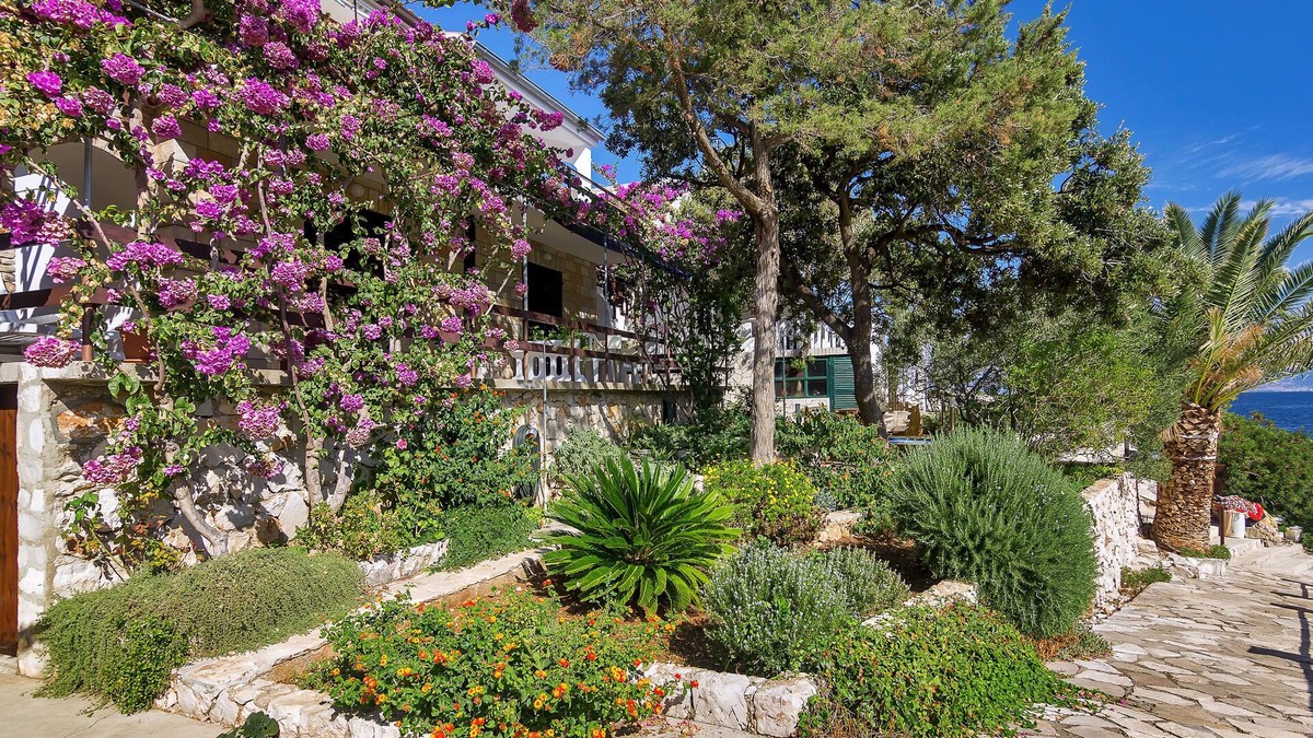 Pokrivenik House | House Sea rose (57941-K1) - Zastrazisce - island Hvar