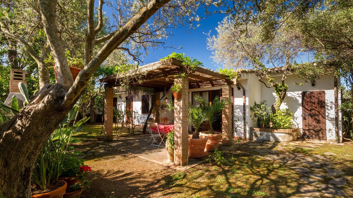 Pula House | House under the olive trees