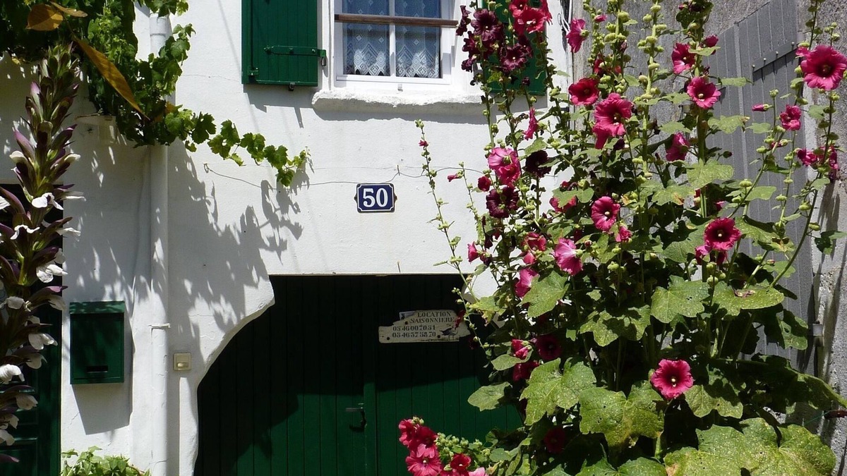 La Couarde-sur-Mer House | House/Villa - Ile de Ré - La Couarde sur mer