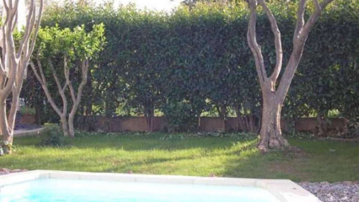 Montfavet House | House/Villa - Montfavet