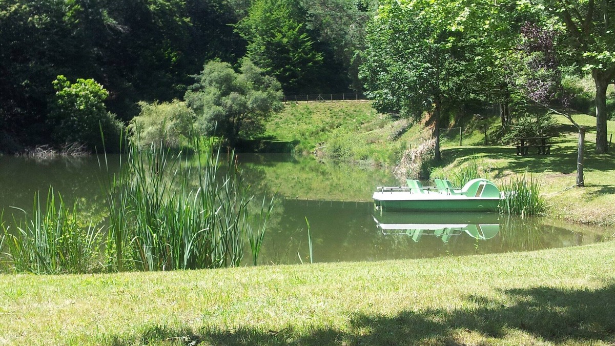 Saint-Hilaire-Peyroux House | House with private ponds