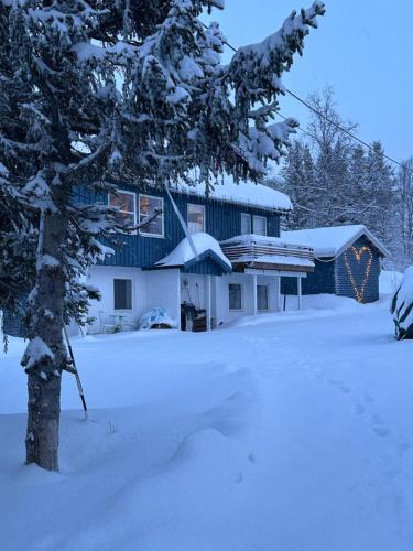 Tromso House | House with charm, valley with lots of northern lights, Breivikeidet