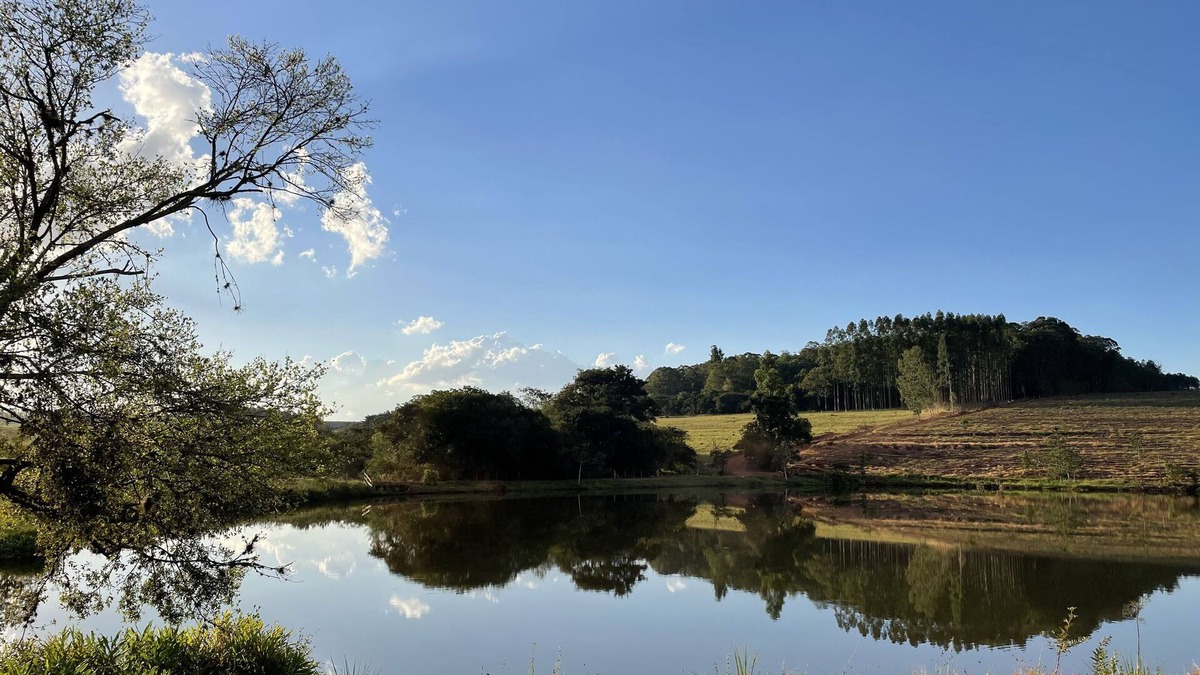 Avare House | House with full board on the farm