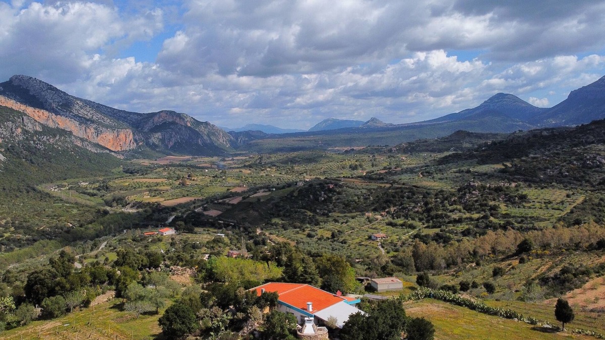 Dorgali House | House with garden and barbecue
