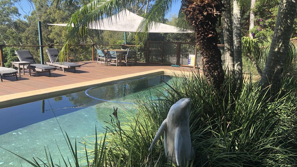 Ewingsdale House | House with large saltwater pool fabulous views firepit on acreage close to Byron