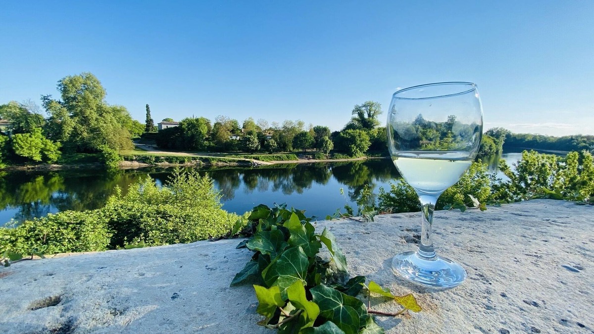 Lamonzie-Saint-Martin House | House with private pool and jacuzzi, panoramic river view