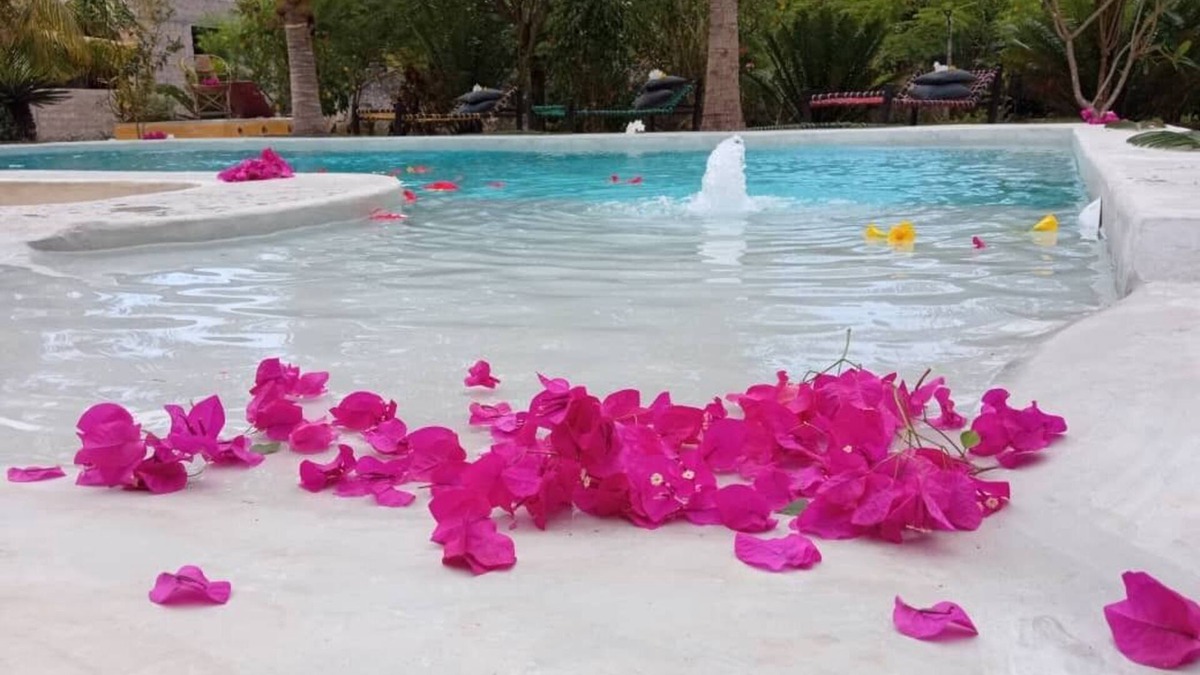 Bwejuu Villa | House with private pool and garden, Bwejuu, east coast Zanzibar