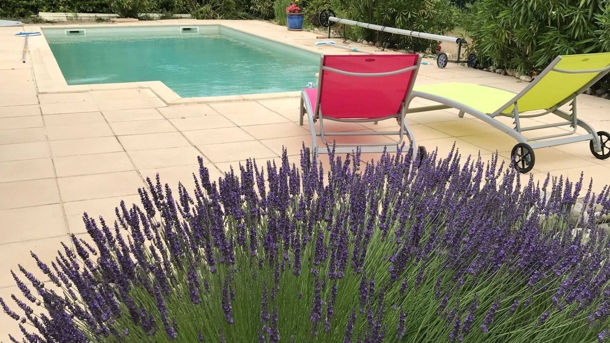 Bras-d'Asse Cabin | House with swimming pool in lavender fields near the Gorges du Verdon