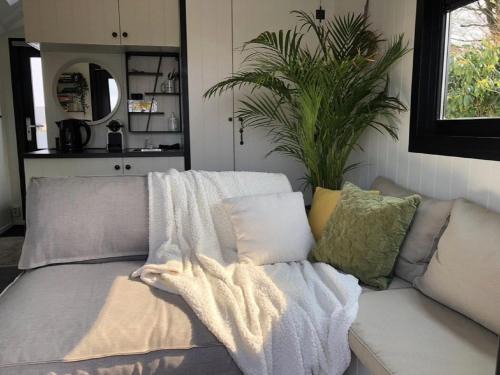 Lathum Boat Rental | Houseboat in Lathumse Plas with Harbor Views