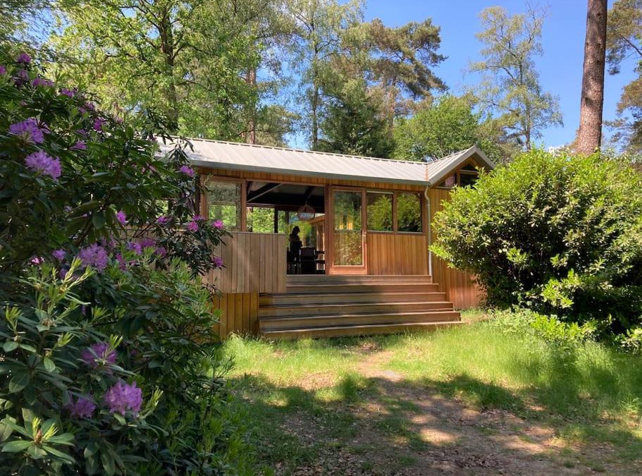 Municipality of Utrechtse Heuvelrug House | Houten bosvilla met sauna en 2 slaapkamers