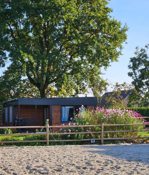 Nieuwerkerken House | Houten huisje tussen paarden