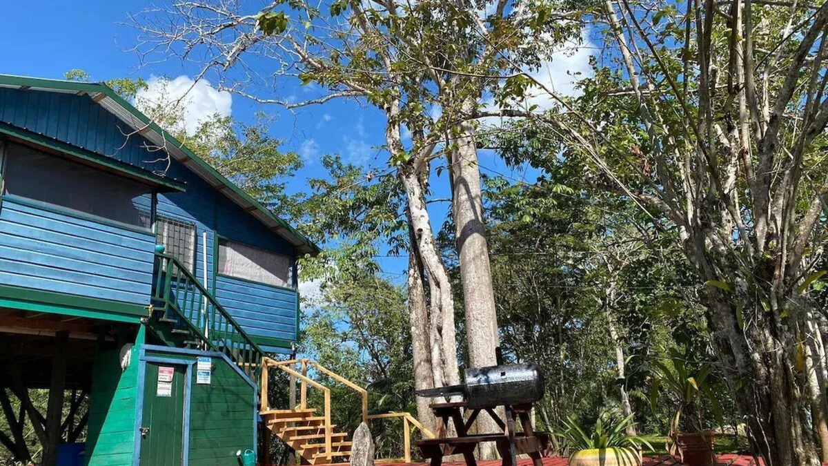 Burrell Boom House | Howler House Amazing Tree House by the river with bikes and canoe