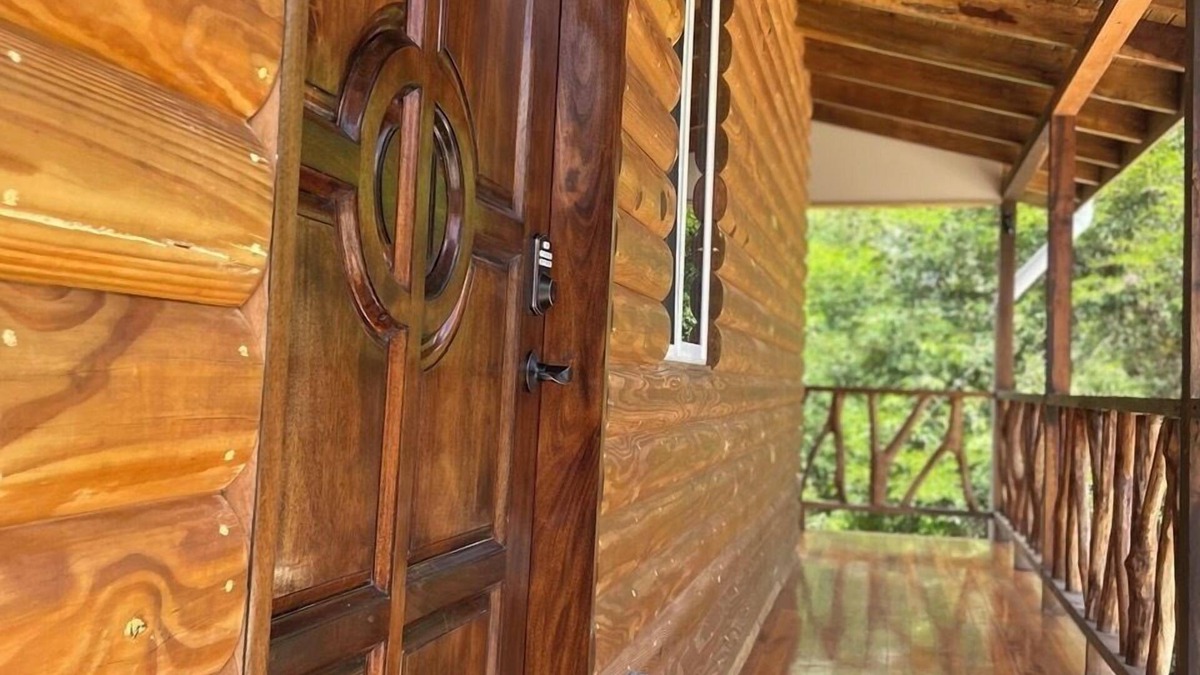 Burrell Boom Hotel | Howler Jungle House