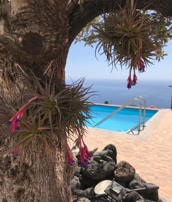 Arecida House | HRlos Piratas - Ferien Haus La Palma - GOOD WLAN !