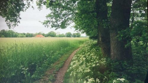 Onstwedde Bed & Breakfast | Huis Eedingh