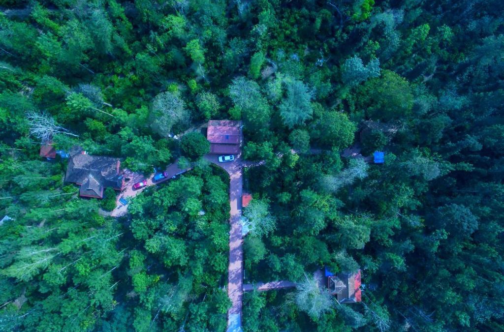 Somvarpet House | Humble Nest Luxury Resort Coorg