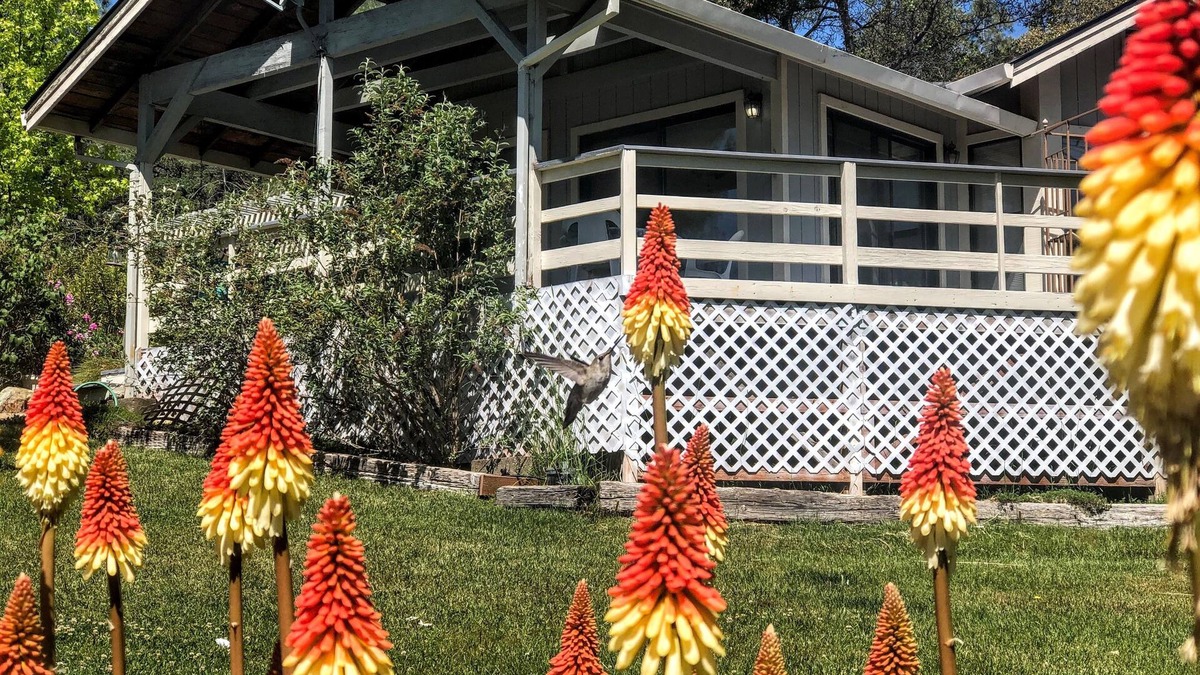 Cedar Ridge Cottage | Hummingbird House - Scenic Peaceful Foothills Getaway only minutes from downtown