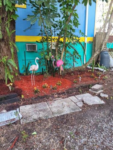 Anclote River Acres Apartment | hunker bunker river front