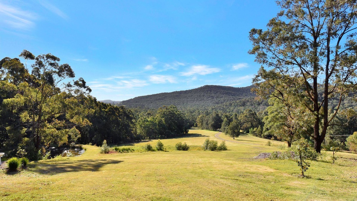 Brunkerville House | Hunter Valley Kangaroo Retreat with 60+ Kangaroos