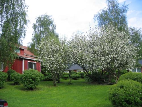 Kankaanpaa Apartment | Huoneisto omenapuiden katveessa