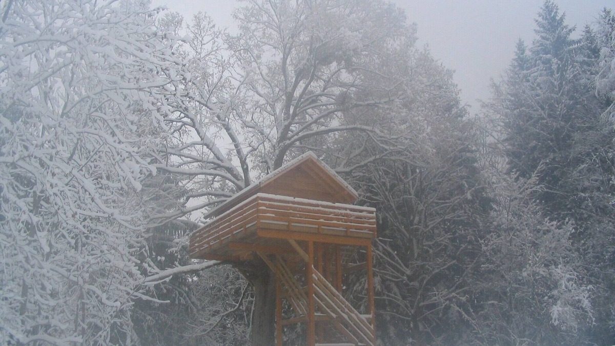 Ecole Ski Chalet | Hut perched on the edge of one of the most beautiful animal reserve in France