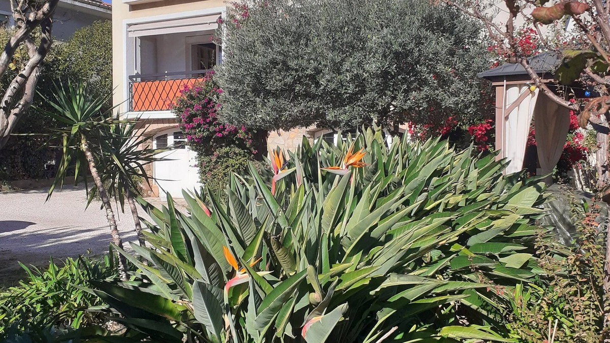Hyeres City Centre Apartment | Hyères town center Large apartment (6 pers)