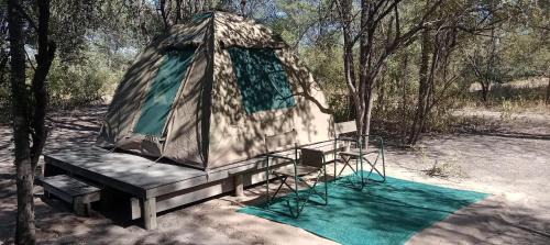 Chobe District Other | Hyenas howl campsite