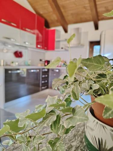 Condove Apartment | Hygge Guesthouse
