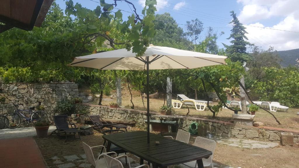 Bonalaccia-Filetto House | I GECHI - MARINA DI CAMPO
