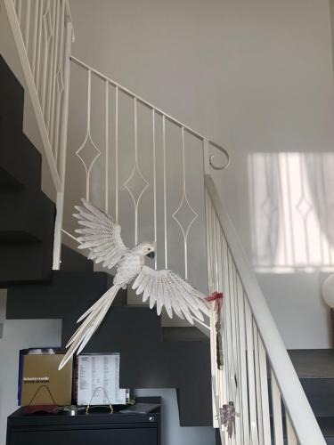 Forli House | I MERISI