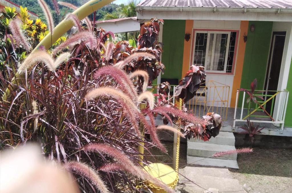 Fond Cani House | Ian Creole Garaden Cottages