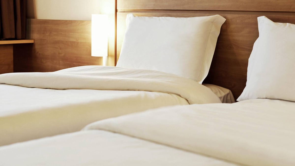 Novo Hamburgo Hotel | Ibis Novo Hamburgo