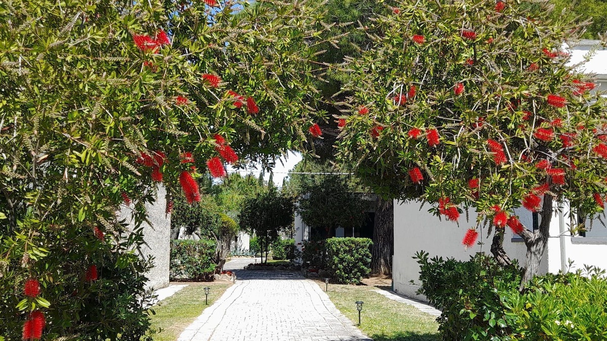 Follonica Resort | Ibiscus Beach Village