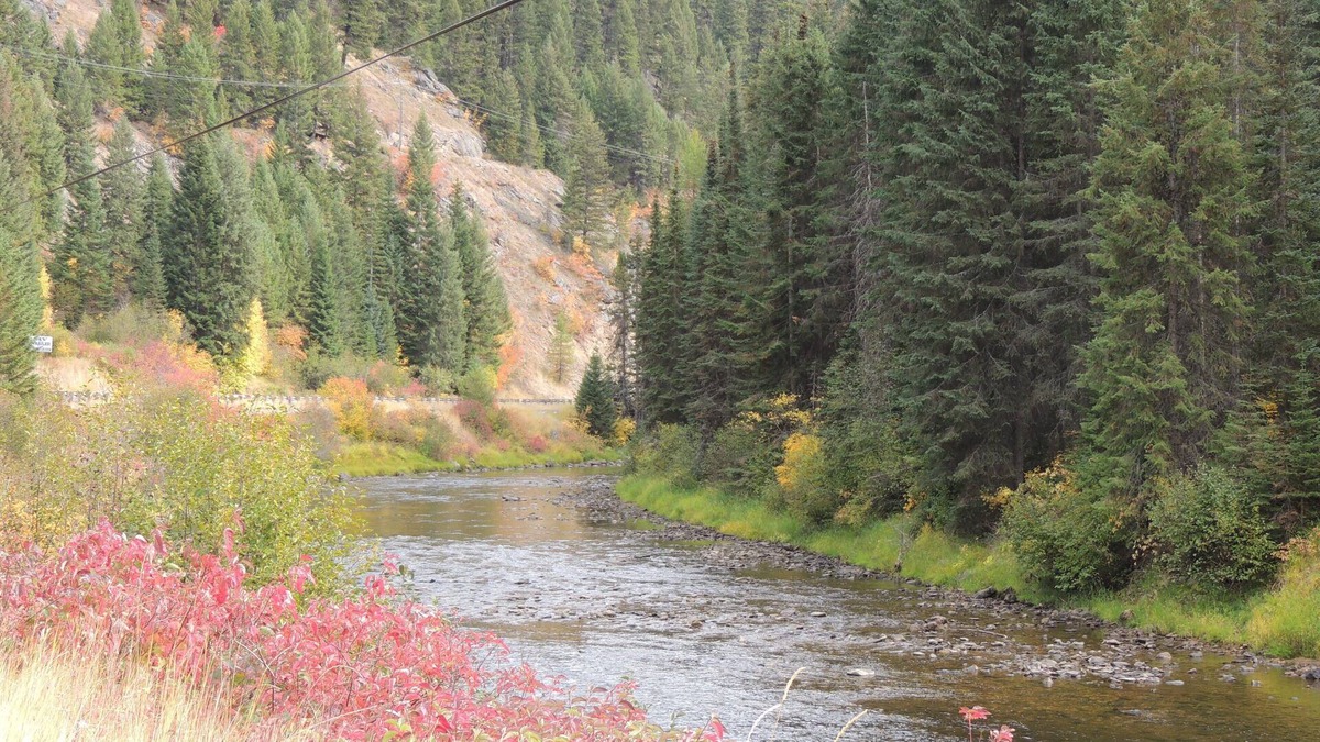 Stites Cabin | Idaho Wilderness Cabin