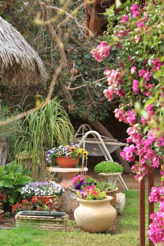 Paran Cabin | Idan Lodge in the Arava